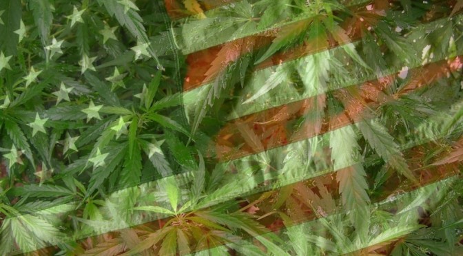 Two New Nationwide Polls Find That Majority Of Americans Believe Marijuana Should Be Legal