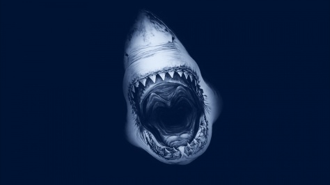 Out of the deep, deep blue...Shark Week!