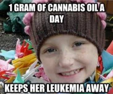 One Gram of Cannabis a Day Keeps Her Leukemia Away.