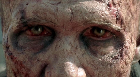 Zombie Eyes another Walking Dead or Walker as I call em image from google